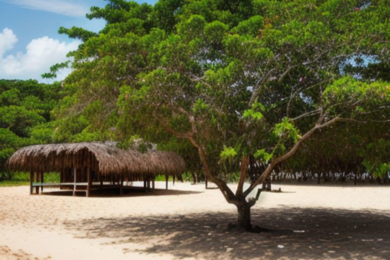 Ilha de Marajó